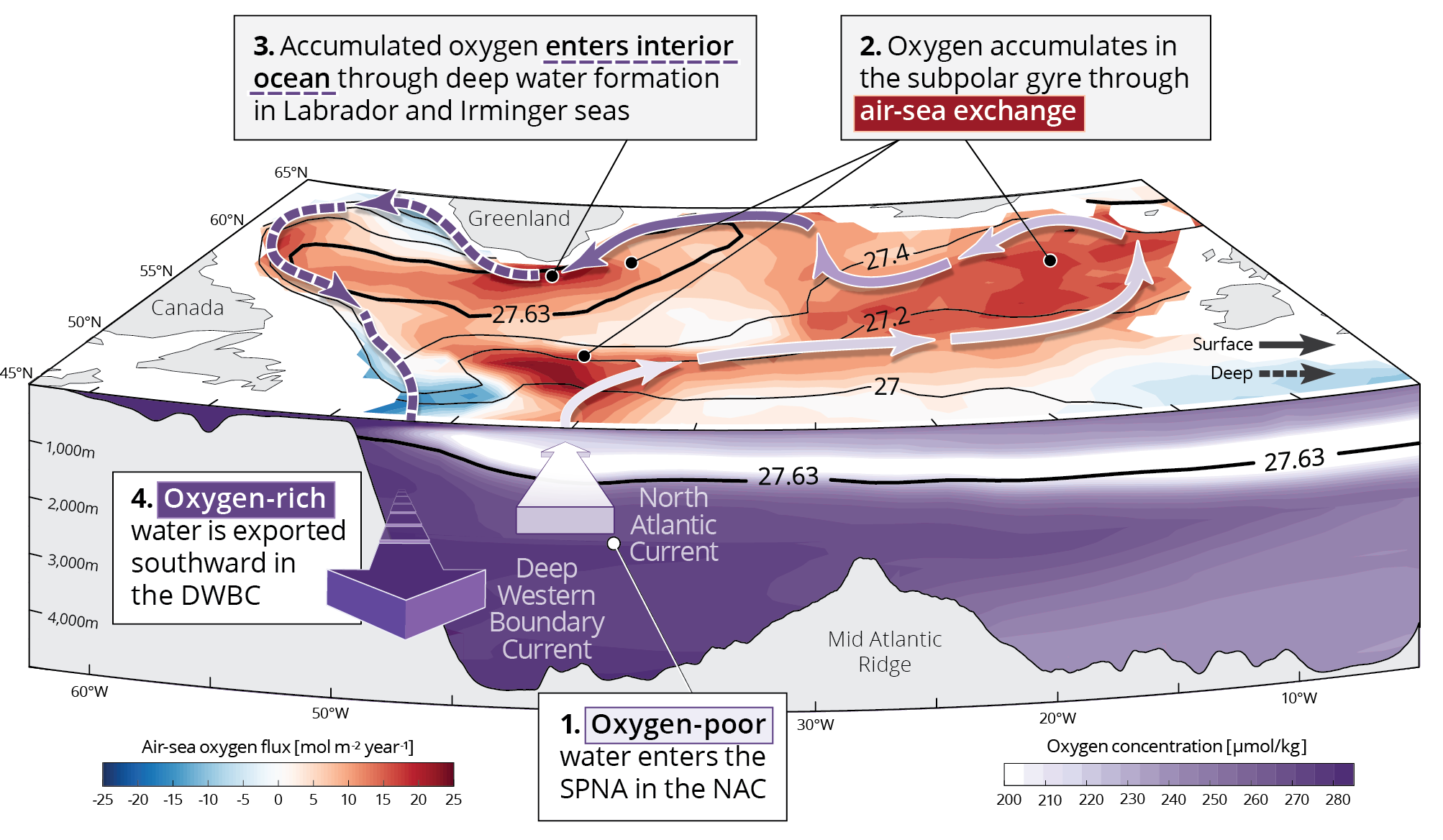 SPNA ventilation schematic
